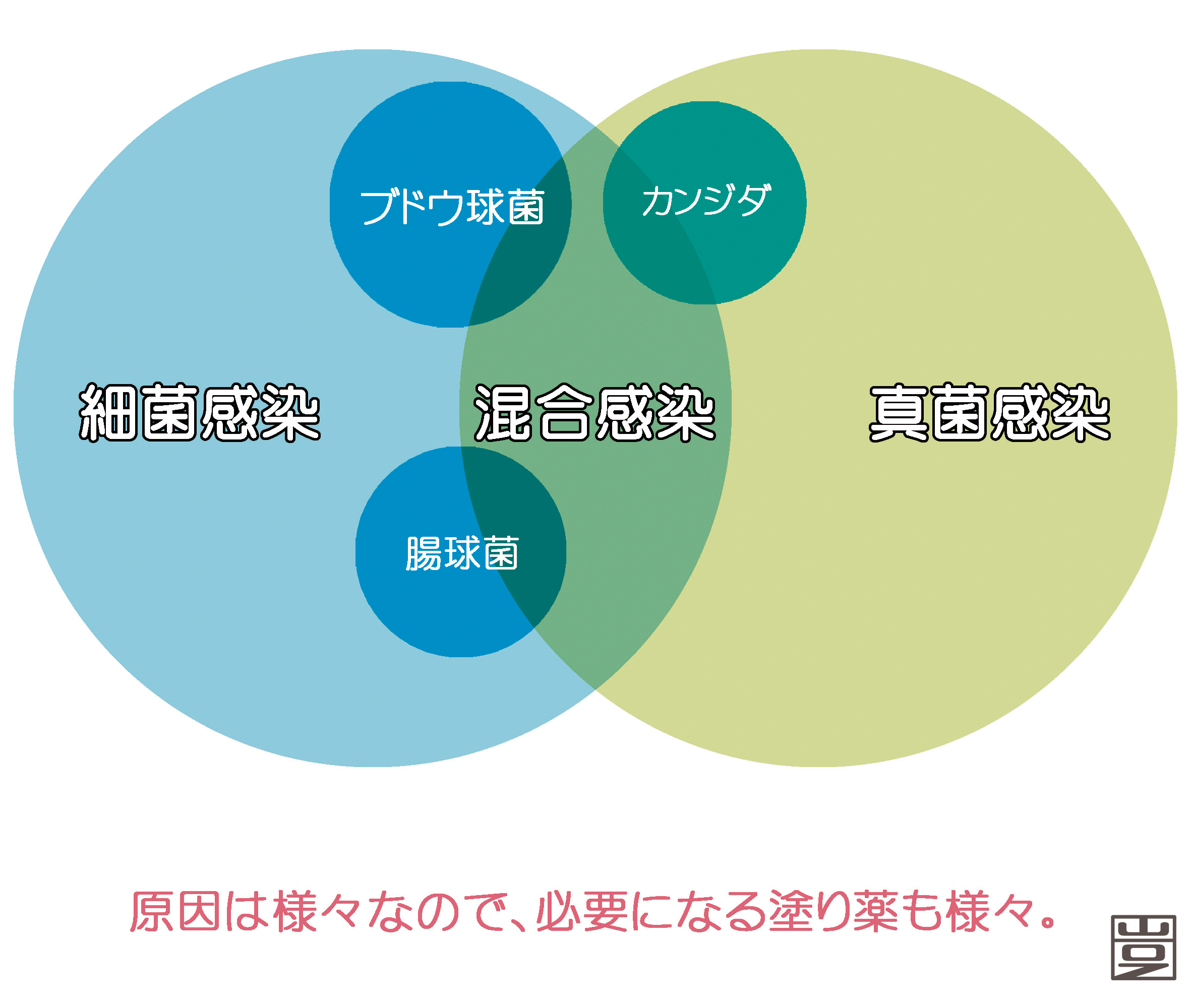 亀頭 敏感 すぎる